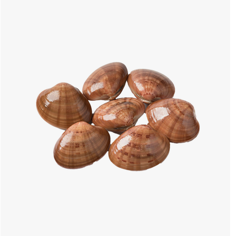 Clam Approx